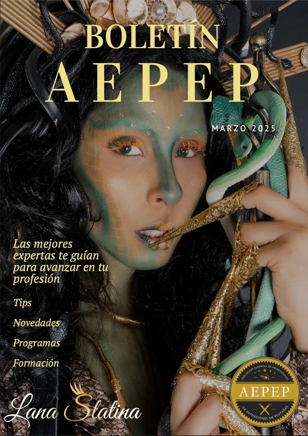 Portada del Boletín Nº8